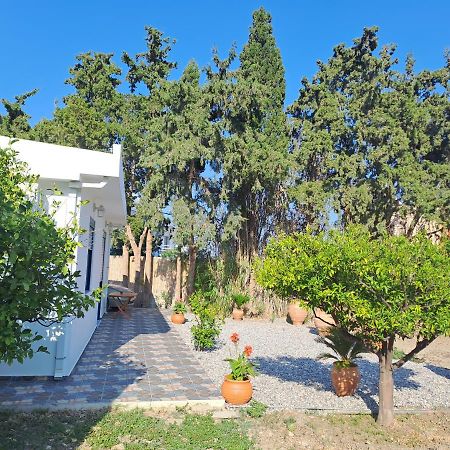 Villa Deja Blue Archangelos  Esterno foto